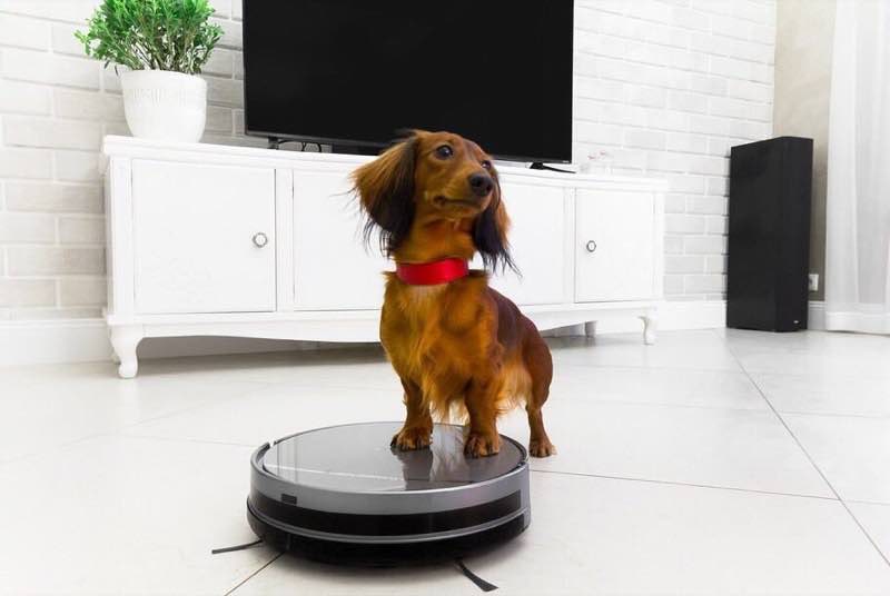 рейтинг гироскутеров